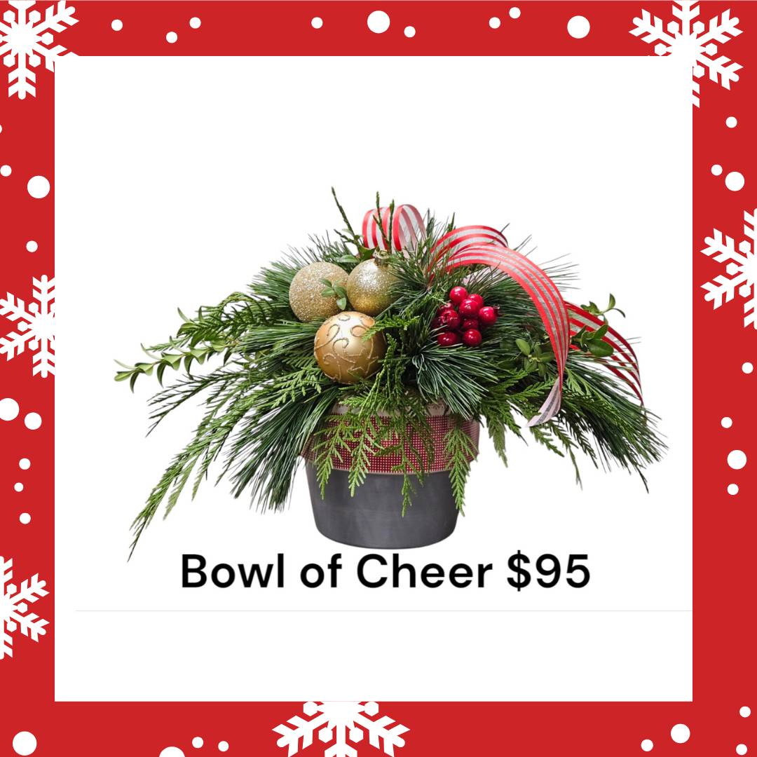 Bowl of Cheer Holiday Table Centerpiece with Fresh Greens